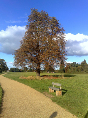 Catton Park